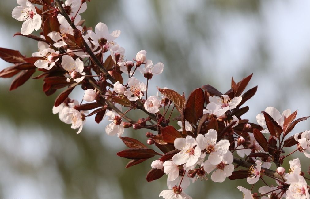 tim8987g.jpg tim8987g.jpg