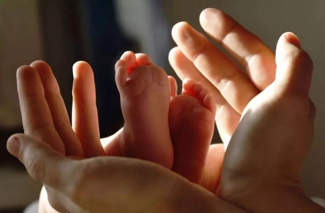 微信圖片_20190615111045.jpg 微信圖片_20190615111045.jpg