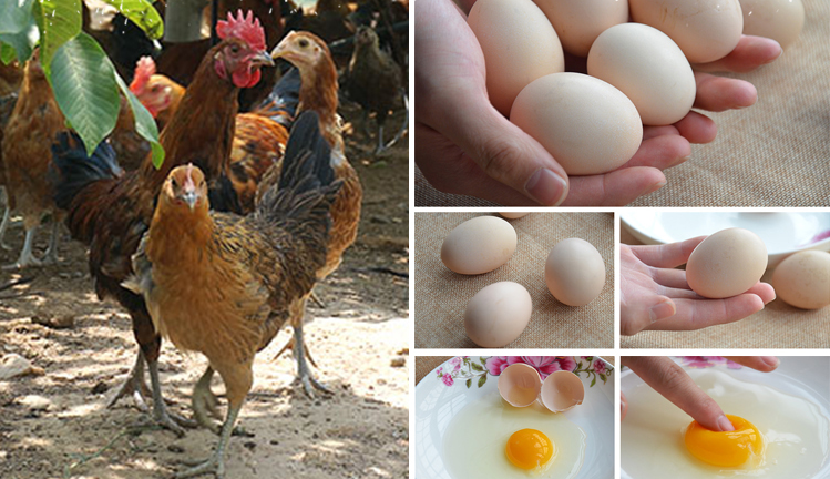 微信圖片_20210329160158.png 微信圖片_20210329160158.png