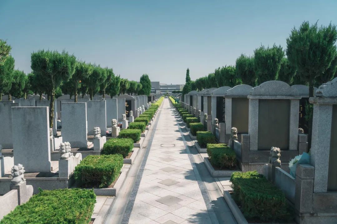 清明時(shí)節(jié)|莫負(fù)好春光