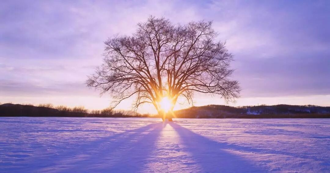 立冬將至|冬是貯藏，也是企盼