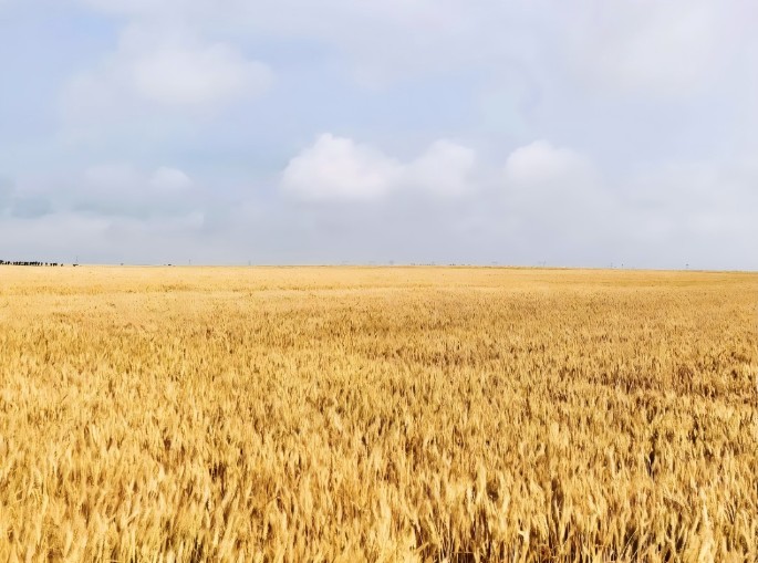 百年匠心守護(hù)｜衡陽(yáng)南北特為您守護(hù)舌尖上的溫暖